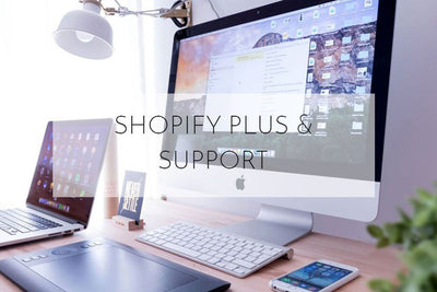 Shopify Plus & Support